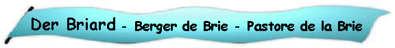 Der Briard - Berger de Brie - Pastore de la Brie