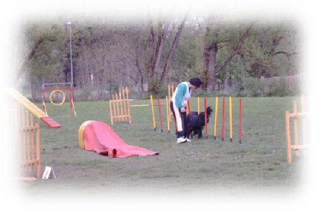 Eigenartig war dieser Slalom mit viereckigen Stangen, Popa hat gleich ihre Schaufeltechnik in die Hpftechnik gendet, um sich nicht zu verletzen! Bei uns wre dies verboten!