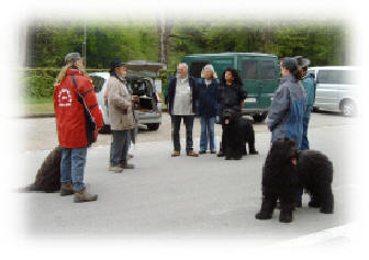 Die ganze Gruppe im Stadtteil!