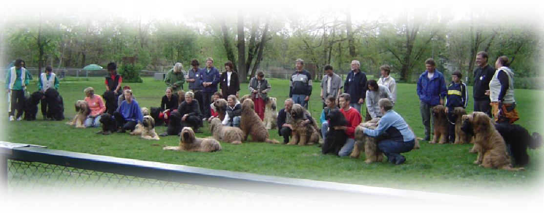 Gruppenbild der Teilnehmer bei der Siegerehrung!