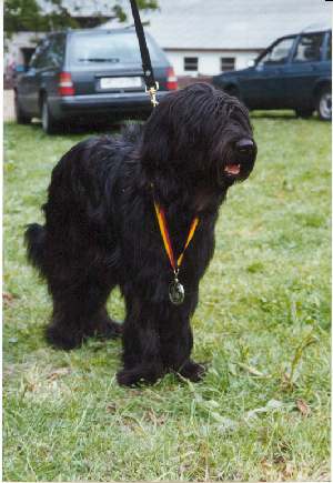 Fanouche's erste Medaille