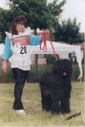 Mel Paso del Pata viento an der Selektion in Frankreich mit 18 Mon.