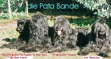 Die Pata Bande