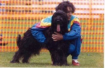 Enzo + Huana vor dem Start des letzten Agility Finallaufes 1999