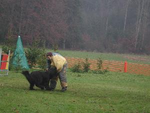 Mel Paso beim Mondioring: Angriff mit Schuss